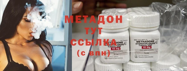 прущие грибы Алексеевка